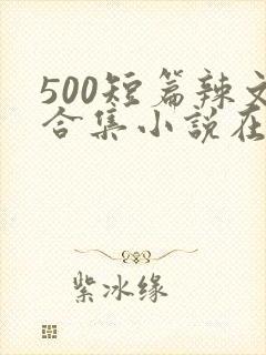 500短篇辣文合集小说在线阅读封面