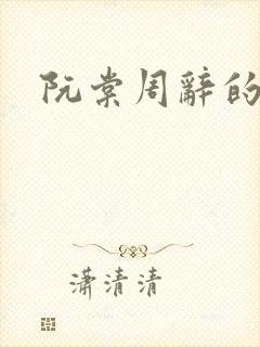 阮棠周辞的小说封面