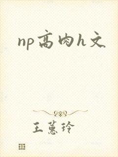 np高肉h文