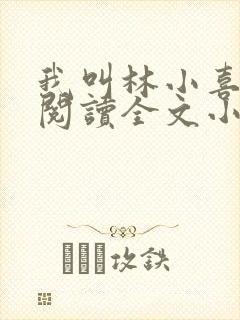 我叫林小喜免费阅读全文小说