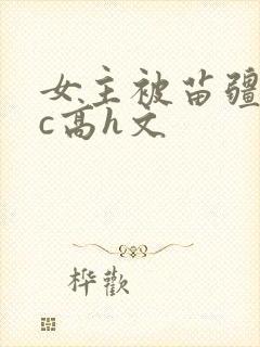 女主被苗疆男主c高h文封面