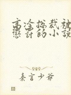 高冷总裁被下属惩罚的小说双男