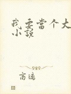 我要当个大坏蛋小说