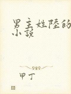 男主姓陆的全部小说