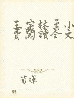 王宇林柔小说免费阅读全文最新章节