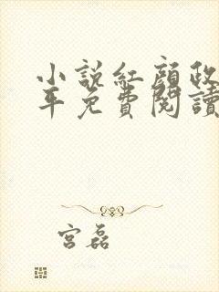 小说红颜政道周平免费阅读