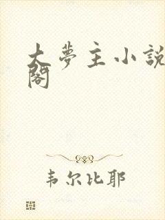 大梦主小说笔趣阁