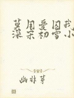 莫用爱囚我傅寒深宋初雪小说