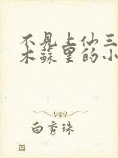 不见上仙三百年木苏里的小说封面