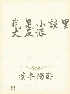 我是小说里共同大反派