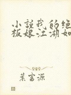 小说我的绝色老板娘江湖如梦封面