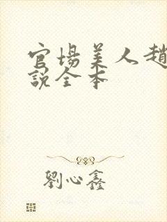 官场美人赵燕小说全本