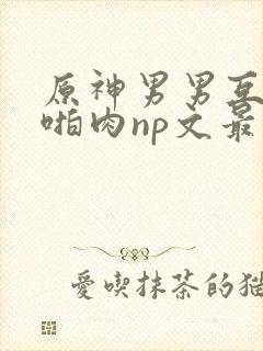 原神男男互攻h啪肉np文最新章节更新