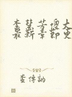 李慧芳傻大牛的最新章节更新时间封面