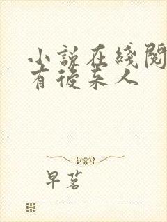 小说在线阅读还有后来人