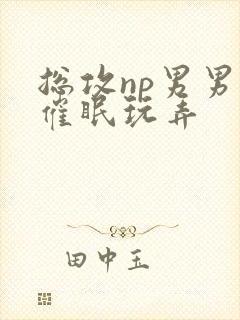 总攻np男男肉催眠玩弄封面