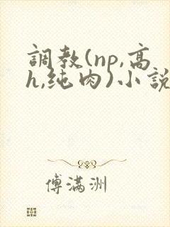 调教(np,高h,纯肉)小说封面