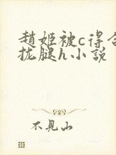 赵姬被c得合不拢腿h小说