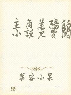 主角叶阳的官场小说免费阅读