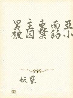 男主东南亚女主被囚禁的小说