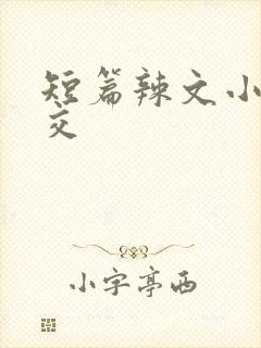 短篇辣文小说公交