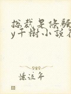 总裁是条骚狗by千树小说在线阅读最新