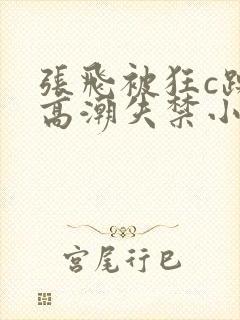 张飞被狂c躁到高潮失禁小说