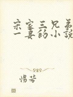 宋家三兄弟共娶一妻的小说