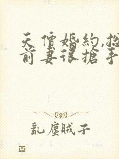 天价婚约,总裁前妻很抢手封面