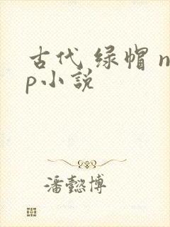 古代 绿帽 np小说封面