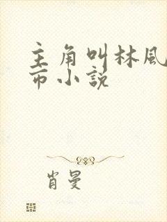主角叫林风的都市小说封面