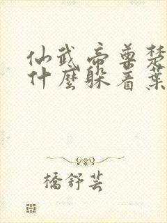 仙武帝尊楚萱为什么躲着叶辰