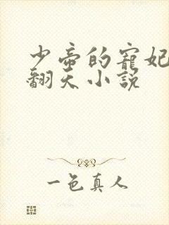 少帝的宠妃弃奴翻天小说封面