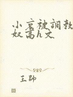 小哀被调教成肉奴高h文