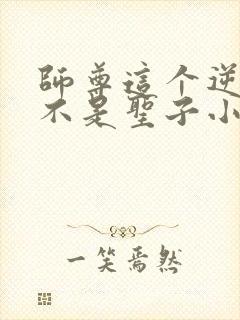 师尊这个逆徒才不是圣子小说封面