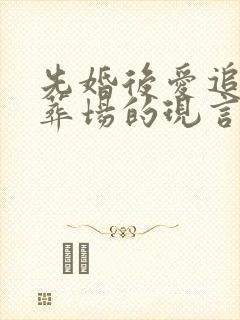 先婚后爱追妻火葬场的现言小说封面