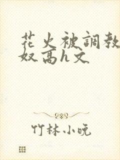 花火被调教成肉奴高h文