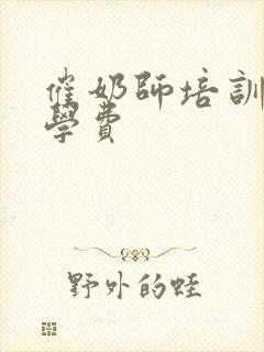 催奶师培训中心学费