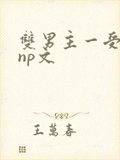 双男主一受多攻np文