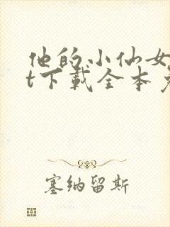 他的小仙女txt下载全本免费