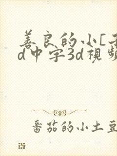 善良的小[子hd中字3d视频封面