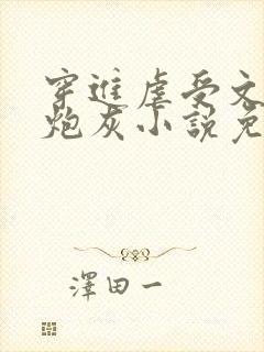 穿进虐受文里的炮灰小说免费阅读