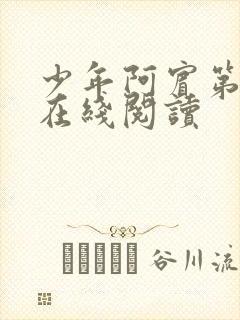 少年阿宾第二部在线阅读