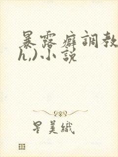 暴露癖调教(高h,)小说