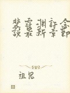 裴霆渊许念笙小说最新章节免费阅读