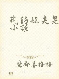 我的姐夫是太子小说封面