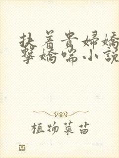 扶着贵妇娇乳撞击娇喘小说