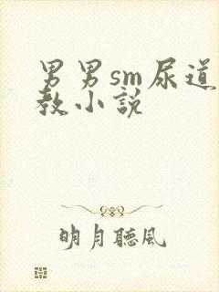 男男sm尿道调教小说