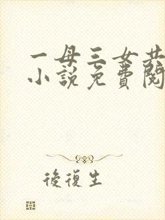 一母三女共一婿小说免费阅读乡村