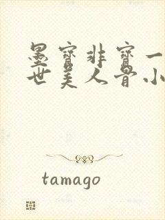 墨宝非宝一生一世美人骨小说